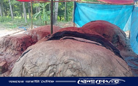 চামড়া সংরক্ষণে সরকারে‌র ব্যতিক্রমী উদ্যোগ : বিনামূল্যে বিতরণ ২০ কোটি টাকার লবণ