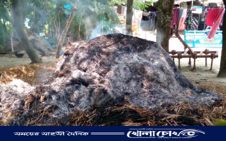 ২২ লাখ টাকার ট্রাক্টর রক্ষা পেলেও পুড়ে ছাই ৫ বিঘার খড়