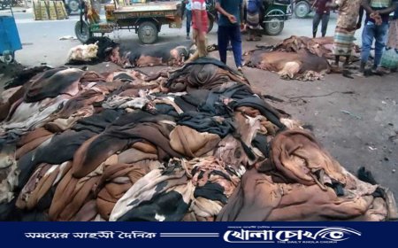 নওগাঁয় ৬ কোটি টাকার চামড়ার বাণিজ্য, লবণ খোলাবাজারে বিক্রির অভিযোগ