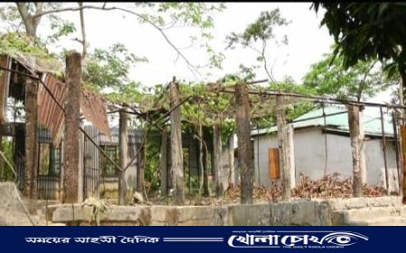 ঘূর্ণিঝড়ে লণ্ডভণ্ড সাঈদখালী আশ্রয়ণ প্রকল্প, ১৮০টি ঘরের অর্ধেকই বসবাসের অনুপযোগী