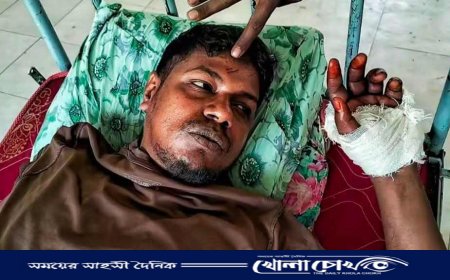 মাগুরার শ্রীপুরে শিয়ালের কামড়ে যুবক আহত