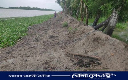 পিরোজপুরে ঝুঁকিপূর্ণ ৫৫ কিমি বেড়িবাঁধ, বর্ষা সামনে রেখে নদীপাড়ে আতঙ্ক