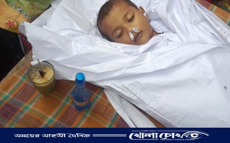 ভাঙ্গায় খালুর বাড়ি বেড়াতে এসে পানিতে ডুবে শিশুর মর্মান্তিক মৃত্যু
