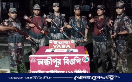 বিজয়নগরে ৫০ লক্ষ টাকার ভারতীয় ইয়াবা আটক, চোরাচালান রোধে বিজিবির তৎপরতা বৃদ্ধি