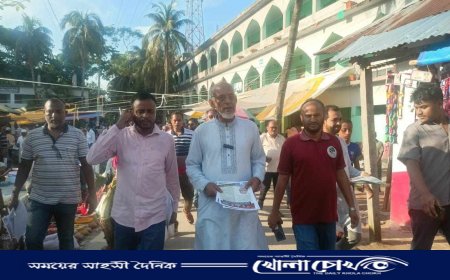 নাজিরপুরে বিএনপির রাষ্ট্র কাঠামো মেরামতের ৩১ দফার লিফলেট বিতরণ