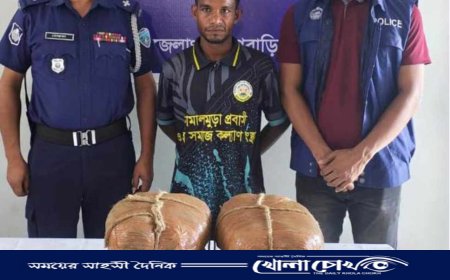 বিজয়নগরে পৃথক অভিযানে মাদকসহ গ্রেপ্তার ১, সিএনজি জব্দ