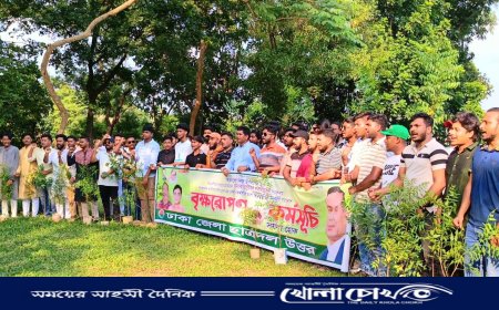 আশুলিয়ায় ঢাকা জেলা উত্তর ছাত্রদলের বৃক্ষরোপণ কর্মসূচি পালন