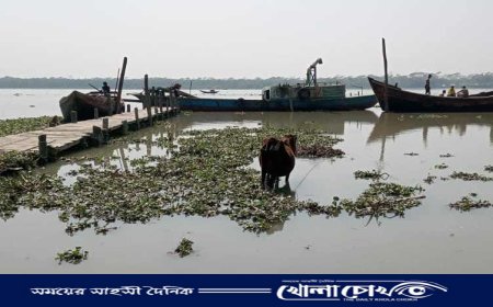 ১৯ বছরেও চালু হয়নি পিরোজপুরের কলারন-সন্ন্যাসী ফেরি