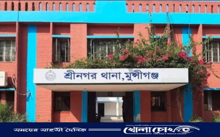 সীমান্তে গরু নিয়ে গেল বিএসএফ, ফেরতের চেষ্টা চালাচ্ছে বিজিবি