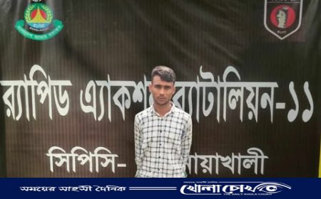 নোয়াখালীতে নারী ও শিশু নির্যাতন মামলার প্রধান আসামি গ্রেফতার