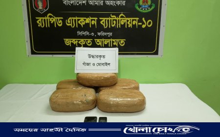 ভাঙ্গায় পৃথক দুই অভিযানে গাঁজা-ইয়াবাসহ গ্রেফতার ৪ মাদক কারবারি