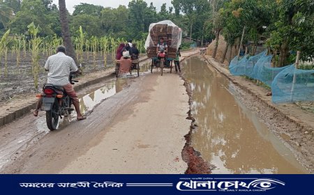 আত্রাইয়ে হাজারো মানুষের যোগাযোগের একমাত্র সড়কে চরম দুরবস্থা