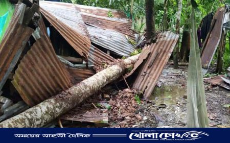 নোয়াখালীতে আকস্মিক টর্নেডোর তাণ্ডব