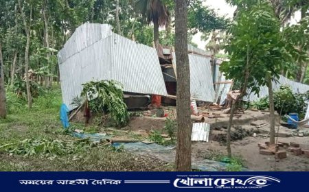 সালথায় আকস্মিক ঝড়ে লণ্ডভণ্ড ৭ বসতঘর