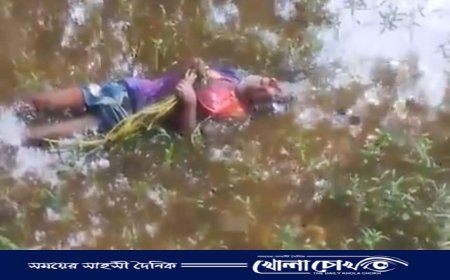 সুবর্ণচরে বিদ্যুৎস্পৃষ্টে বৃদ্ধের মৃত্যু