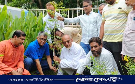 বিশ্ব পরিবেশ দিবস উপলক্ষে পিরোজপুর জেলা বিএনপির বৃক্ষরোপণ কর্মসূচি অনুষ্ঠিত