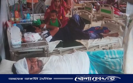 বোয়ালমারীতে বকেয়া বিদ্যুৎ বিল নিয়ে হাতাহাতি, আহত ৬