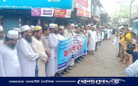 নেছারাবাদের আঞ্চলিক সড়ক উন্নয়ন ও ঝুঁকিপূর্ণ বেইলি ব্রিজ রূপান্তরের দাবিতে মানববন্ধন