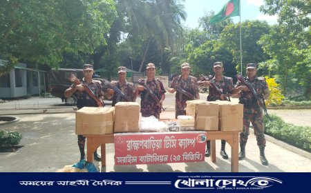 ২৫ বিজিবির অভিযানে ইয়াবাসহ মাদক চোরাকারবারী আটক