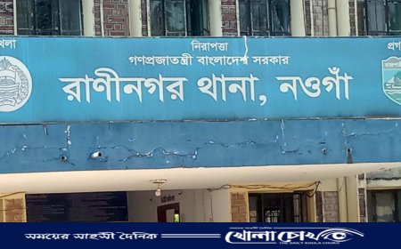 রাণীনগরে পৃথক অভিযানে তিনজন গ্রেফতার, বাড়ির আঙিনা থেকে গাঁজার গাছ উদ্ধার