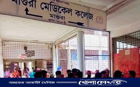 মাগুরায় প্রাইভেট কারের ধাক্কায় কৃষক নিহত, আহত ২