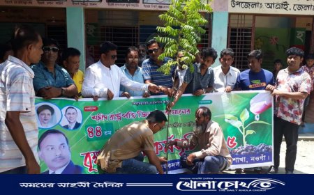 আত্রাইয়ে শহীদ জিয়াউর রহমানের শাহাদাৎ বার্ষিকীতে কৃষক দলের বৃক্ষরোপণ কর্মসূচি