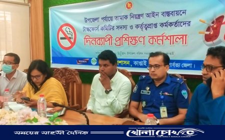 কাপ্তাইয়ে তামাক নিয়ন্ত্রণ আইন বাস্তবায়নে টাস্কফোর্স কমিটির প্রশিক্ষণ সভা অনুষ্ঠিত