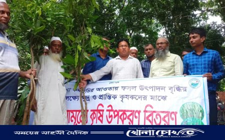 ফরিদপুরের নগরকান্দায় বারি আম-৪ চারা বিতরণ, ৬০ কৃষক পেল ৩০০টি গাছ