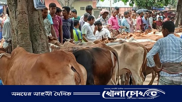 কোরবানির ঈদ ঘিরে জমজমাট পশুর হাট, নিরাপত্তা জোরদারে মাঠে র্যাব-৫