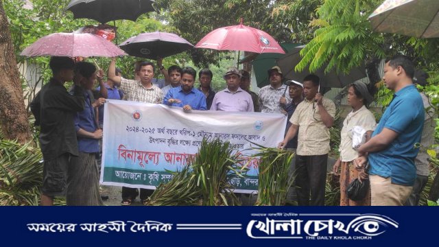 রোয়াংছড়িতে উন্নত জাতের আনারসের চারা বিতরণ