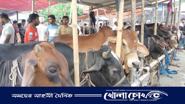 শেষ মুহূর্তে পিরোজপুরে জমে উঠেছে কোরবানির পশুর হাট