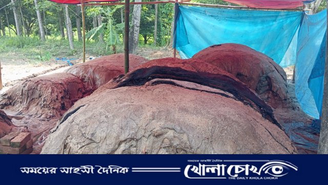 চামড়া সংরক্ষণে সরকারের ব্যতিক্রমী উদ্যোগ : বিনামূল্যে বিতরণ ২০ কোটি টাকার লবণ