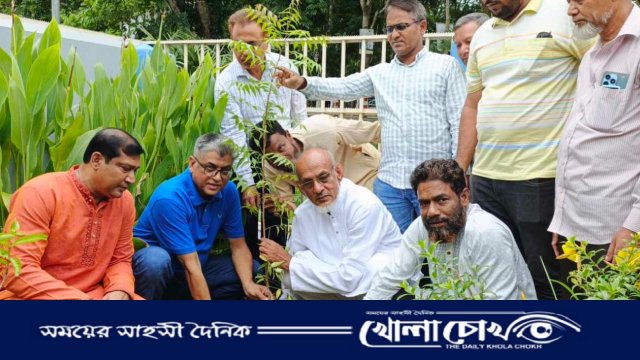 বিশ্ব পরিবেশ দিবস উপলক্ষে পিরোজপুর জেলা বিএনপির বৃক্ষরোপণ কর্মসূচি অনুষ্ঠিত