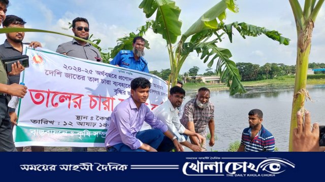 ভাঙ্গায় বজ্রপাত প্রতিরোধ ও পরিবেশ সুরক্ষায় ২ শতাধিক তালগাছ রোপণ