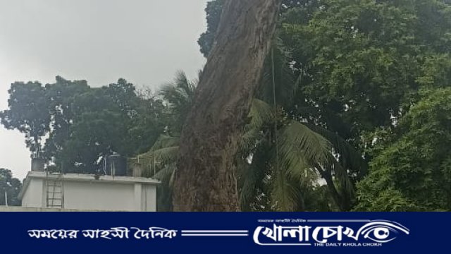 টেন্ডার ছাড়াই সরকারি গাছ কাটার অভিযোগ