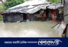 টানা বর্ষণে টেকনাফে অর্ধশতাধিক গ্রাম প্লাবিত, পানিবন্দি দুই হাজারের বেশি পরিবার