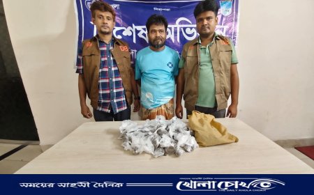 আশুলিয়ায় ৫০০ গ্রাম গাঁজাসহ মাদক ব্যবসায়ী গ্রেফতার