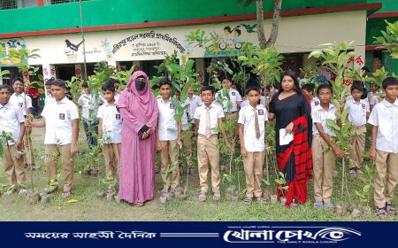 পিরোজপুরের নাজিরপুরে কৃষক ও শিক্ষার্থীদের মাঝে বিনামূল্যে চারা বিতরণ সম্পন্ন