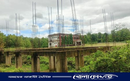 নাজিরপুরে যুবদলের আনন্দ মিছিল ও পথসভা অনুষ্ঠিত