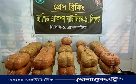 বিজয়নগরে ৬২ কেজি গাঁজাসহ দুই মাদক ব্যবসায়ী গ্রেফতার