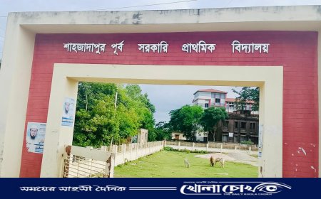 সরাইলে বহিষ্কৃত যুবদল নেতার ছেলের নেতৃত্বে স্কুলে চুরি, ধামাচাপার অভিযোগে তোলপাড়