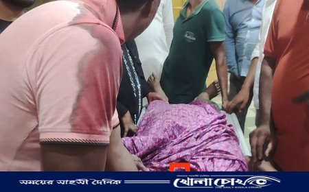 নোয়াখালীতে আওয়ামী লীগ নেতার মাকে কুপিয়ে স্বর্ণালংকার লুট