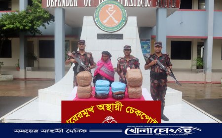 টেকনাফে বিপুল পরিমাণ মাদকসহ নারীসহ আটক ৩