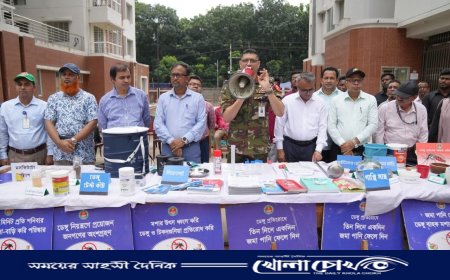 ডেঙ্গু ঝুঁকিপূর্ণ ওয়ার্ডে ডিএনসিসির বিশেষ মশক নিধন অভিযান শুরু