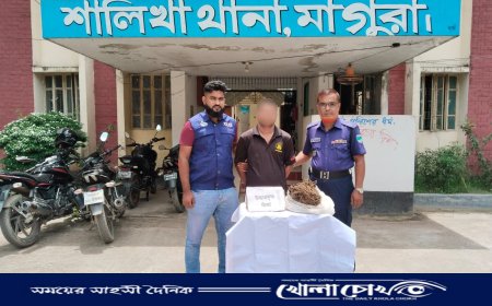 মাগুরার শালিখায় পুলিশের অভিযানে ৫০০ গ্রাম গাঁজা উদ্ধার