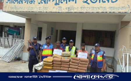 বাঞ্ছারামপুরে ৭০ কেজি গাঁজাসহ দুই পাচারকারী গ্রেপ্তার