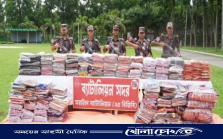 বিজয়নগরে গুদামে বিজিবির হানা, ৩৭ লাখ টাকার ভারতীয় পণ্য জব্দ