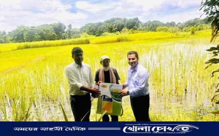 আলফাডাঙ্গায় ধানক্ষেতে গিয়ে কৃষকদের হাতে স্প্রে মেশিন তুলে দিলেন ইউএনও ও কৃষি কর্মকর্তা