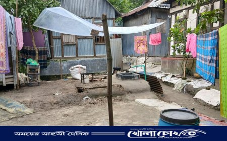 শ্রীনগরে আদালতের নিষেধাজ্ঞা অমান্য করে বিরোধপূর্ণ জমিতে ঘর নির্মাণ