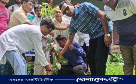 শহীদ জিয়াউর রহমানের শাহাদাৎ বার্ষিকীতে আত্রাই কৃষক দলের বৃক্ষরোপণ